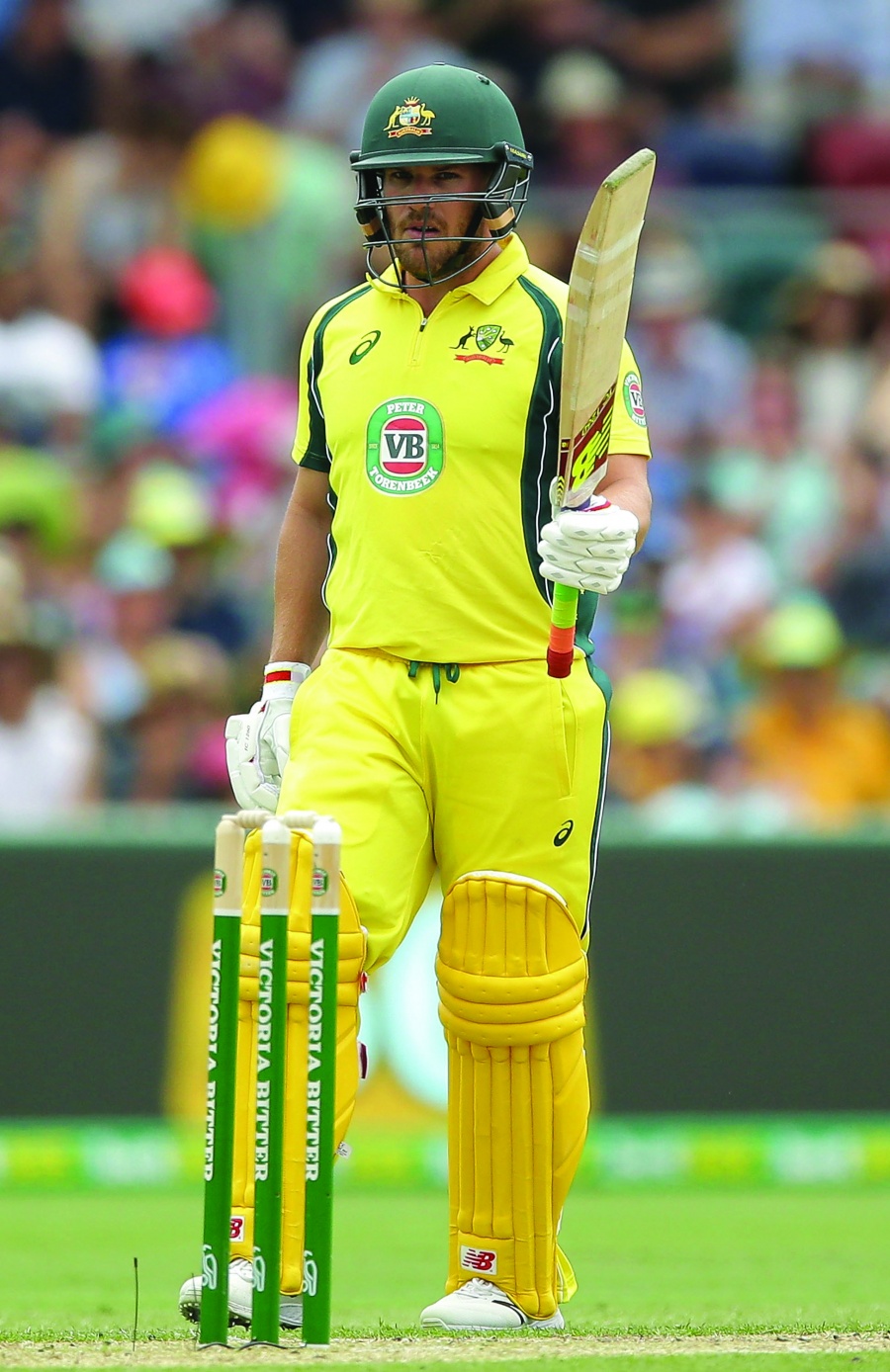 Aaron Finch GDAY