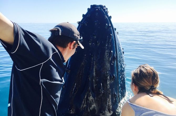 Discovery Parks Hervey Bay - Whale Watch Fraser Coast