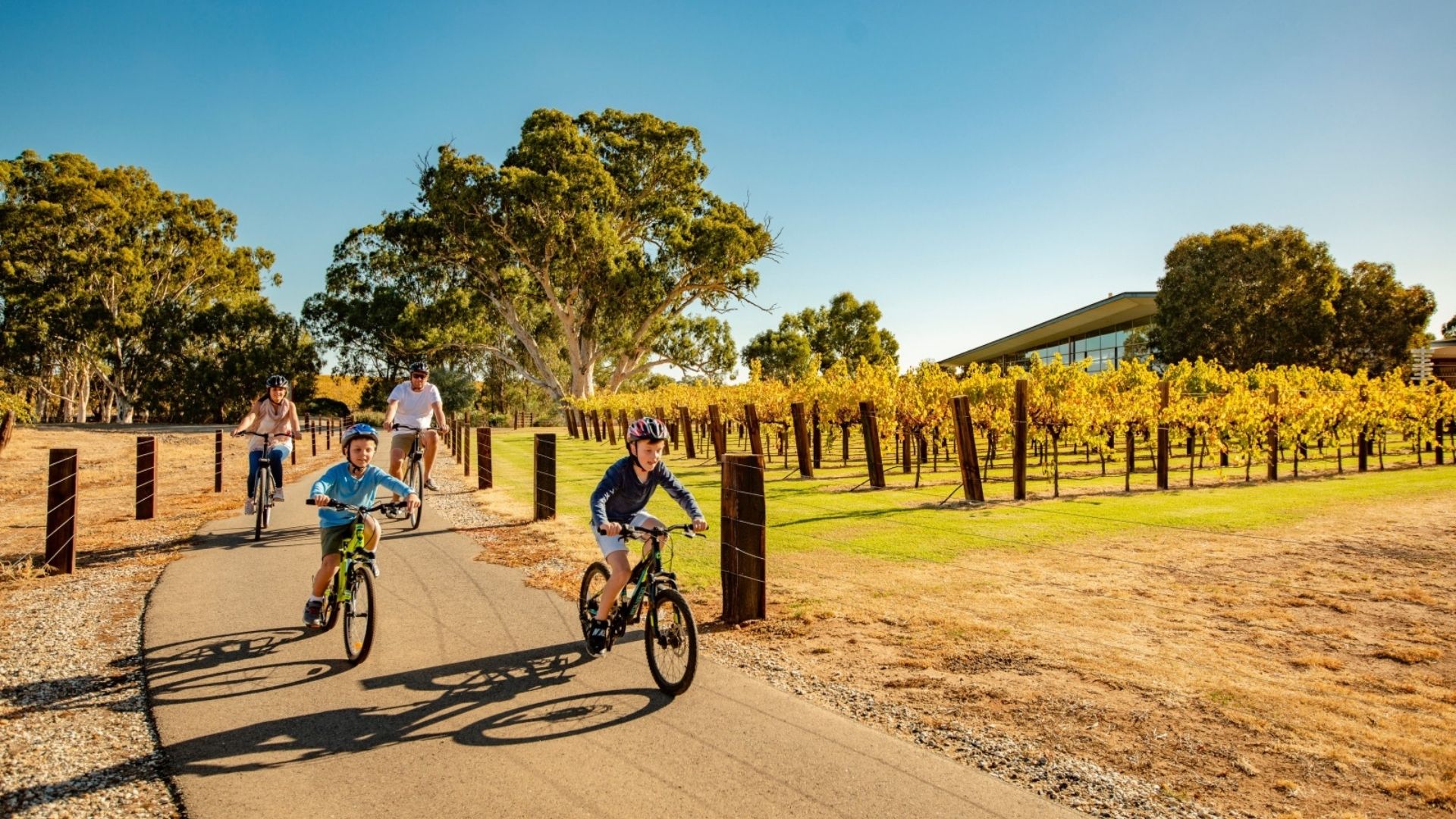 Aus cycling trails familes barossa trail