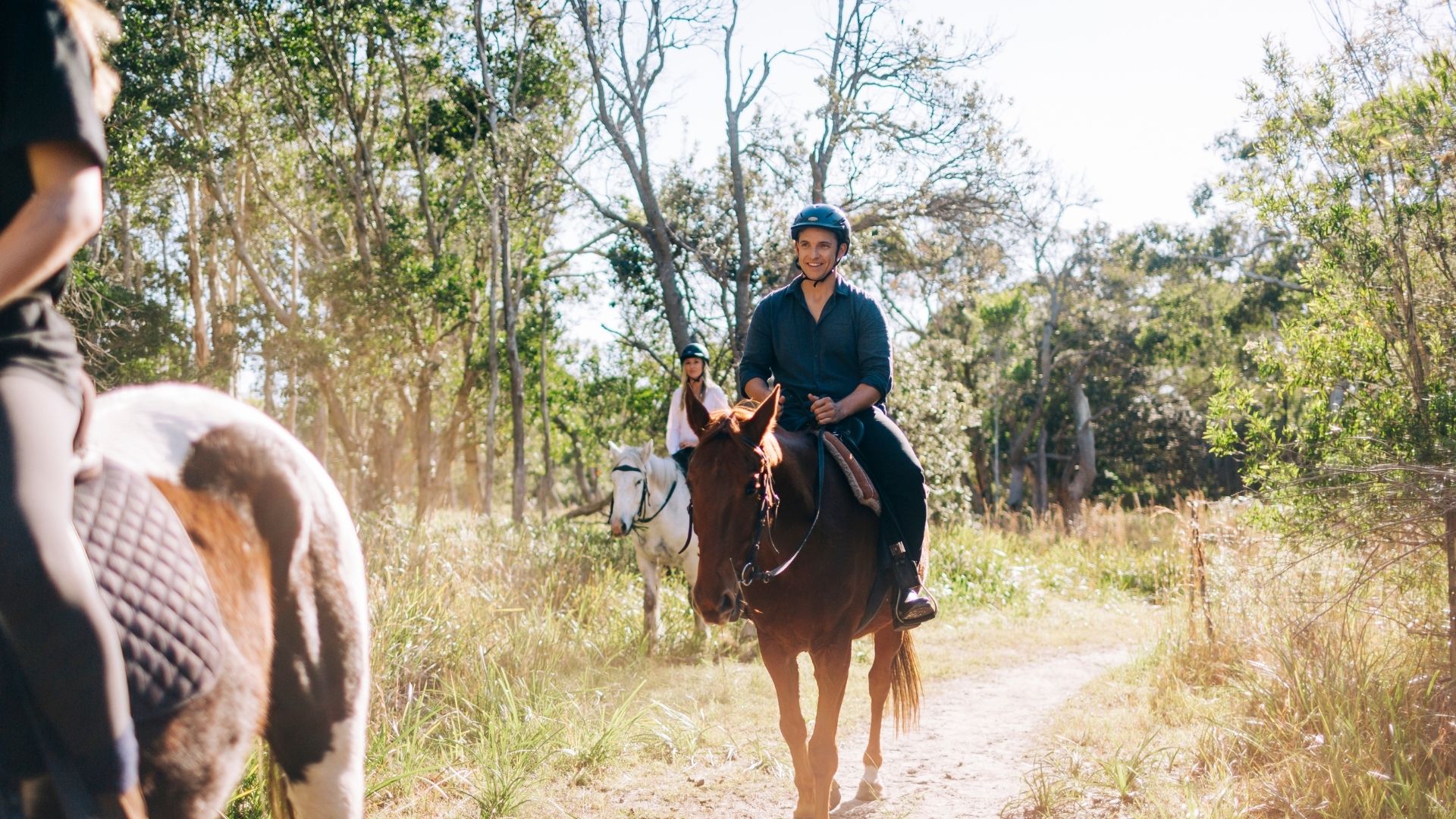 NSW byron bay horse riding tours