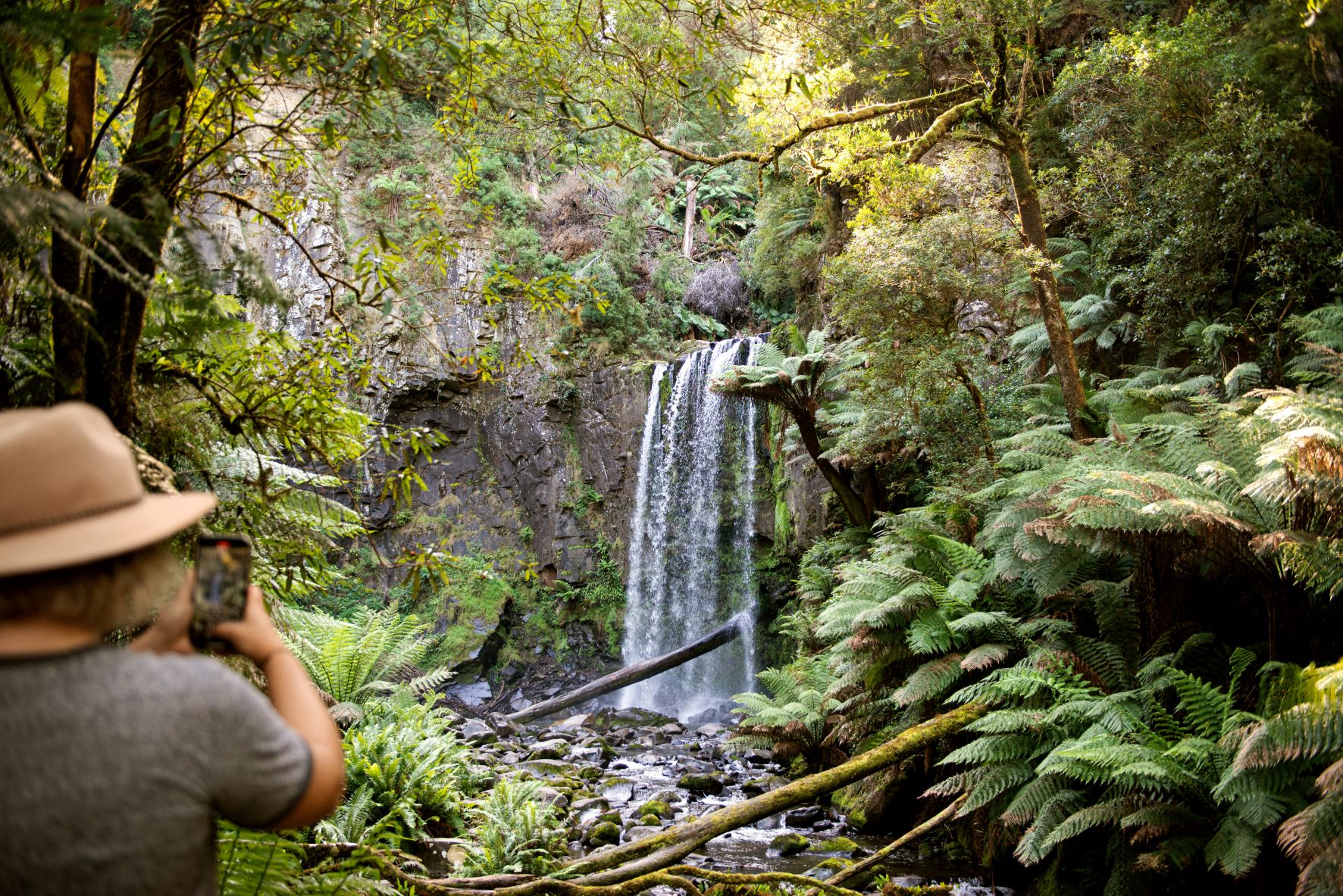 National Parks to Get Lost in this Spring   Great Otway VIC Visit Victoria 081221