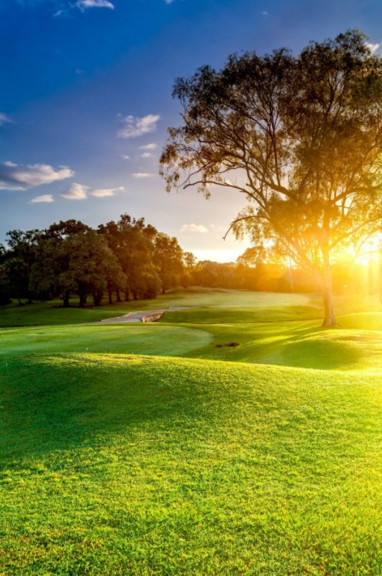 Darwin Golf Club   Credit   Darwein Golf Club