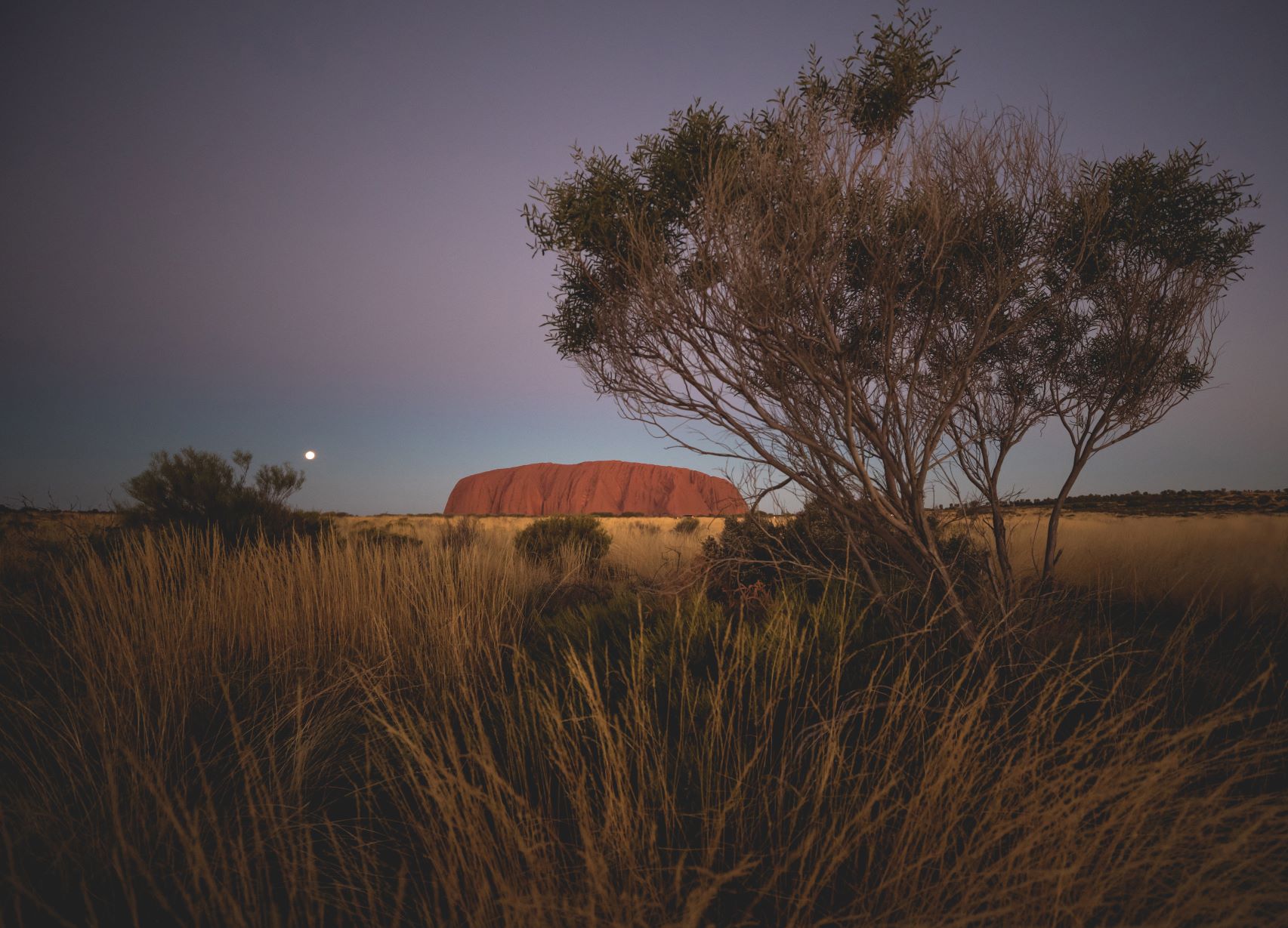 Reasons to visit the northern territory top end uluru ayers rock tourism nt