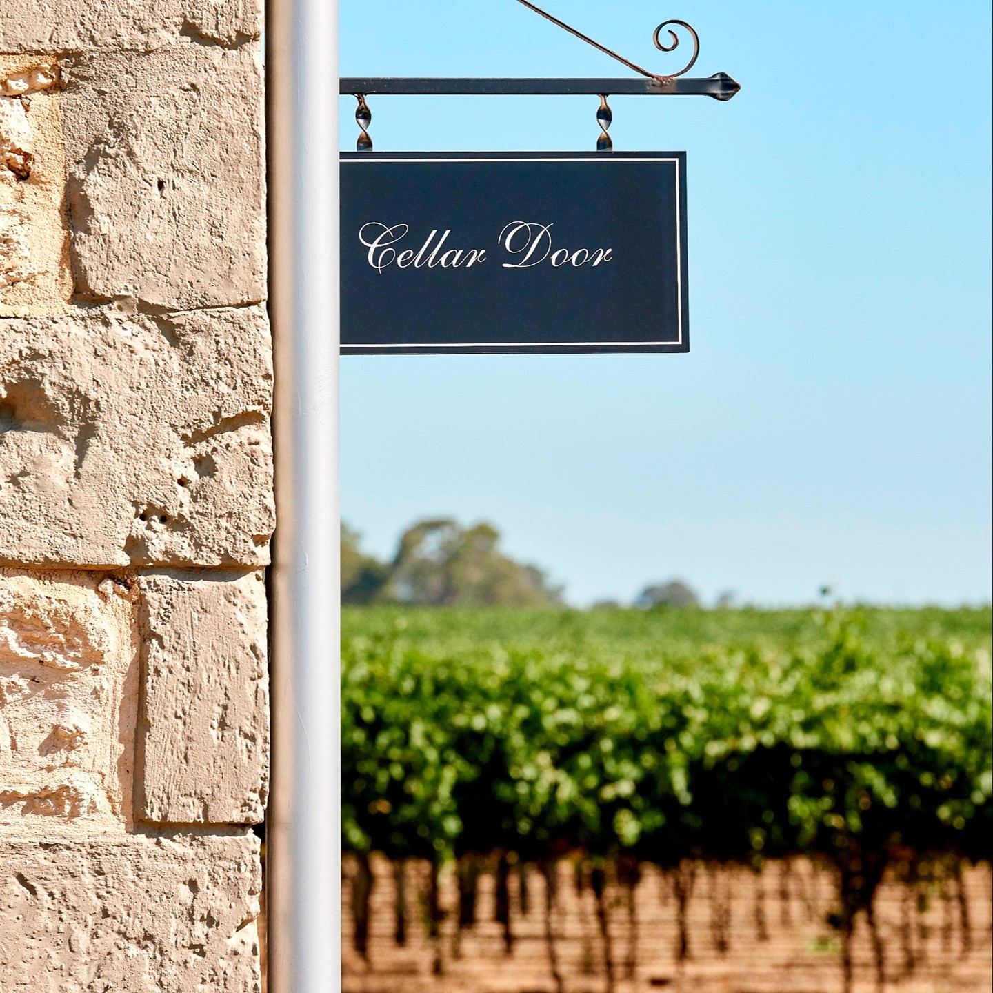 Things to do in robe coonawarra katnook estate