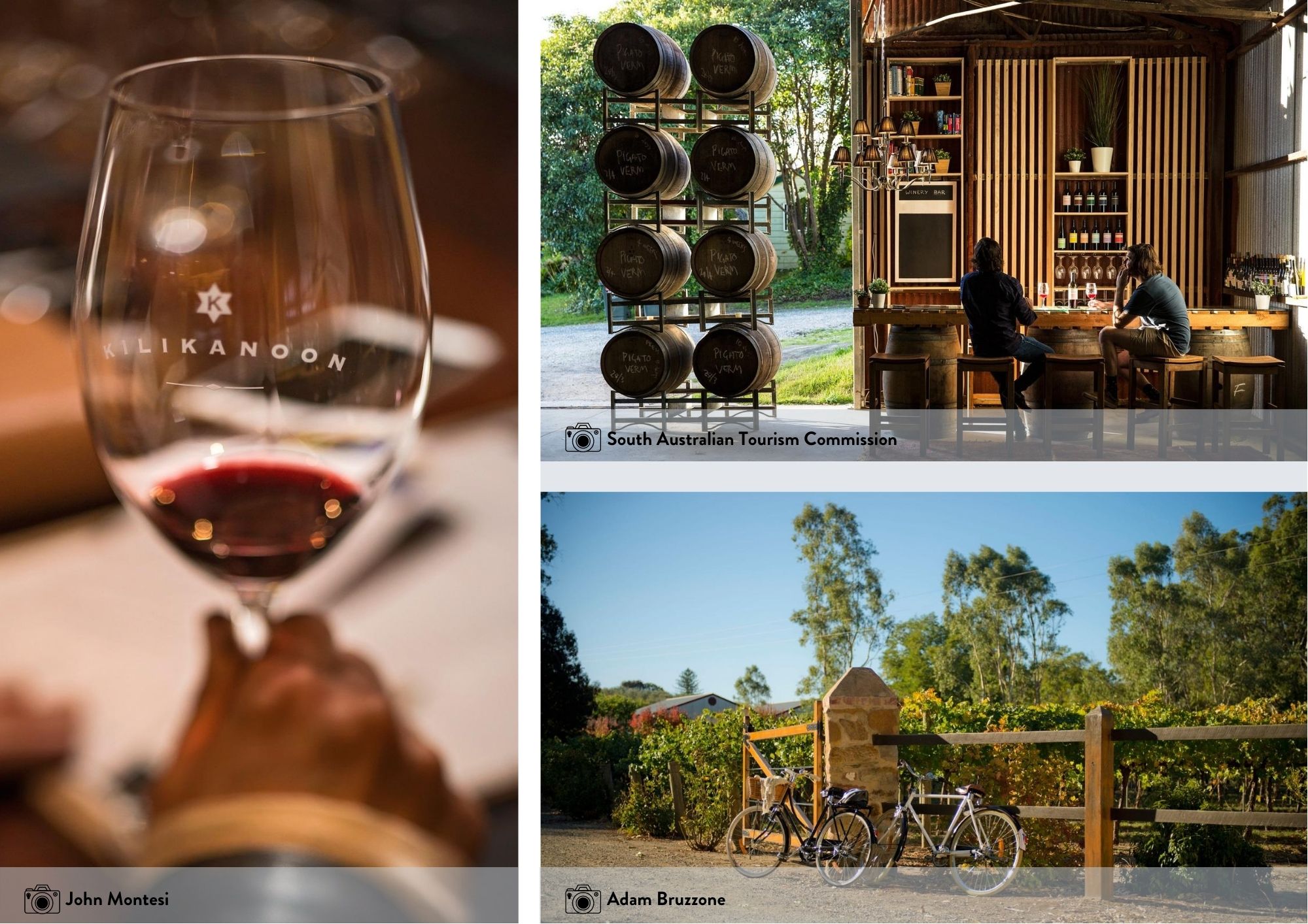South australia best food and wine experiences clare valley satc