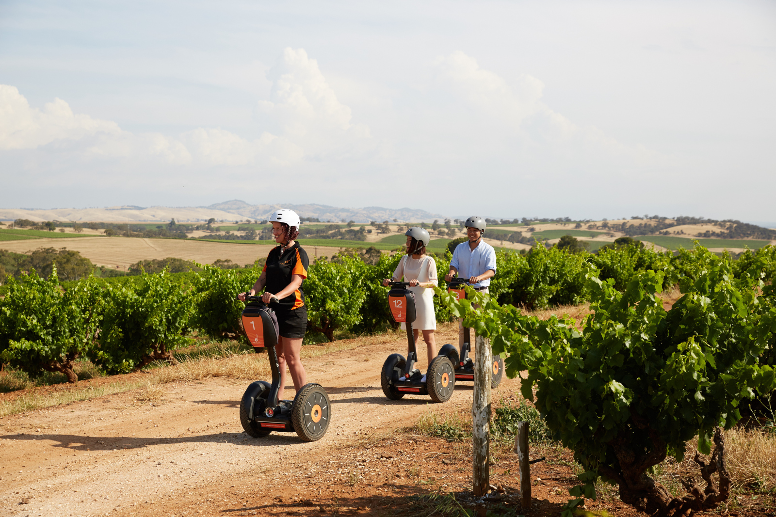 South australia best food and wine experiences barossa valley segways satc