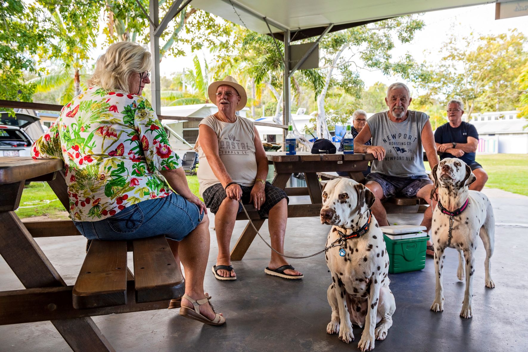The best holiday parks in australia pet friendly parks camp kitchen