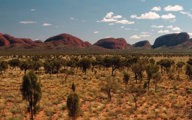 Things to see and do kings canyon red centre national park