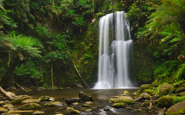 Australias most amazing waterfalls beauchamp falls vic