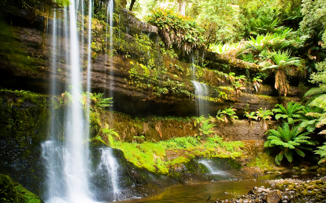 Australias most amazing waterfalls russell falls tas