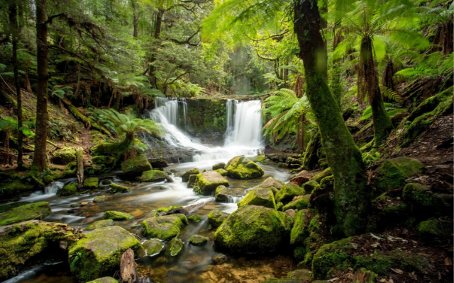 Best easter holidays in australia mount field national park