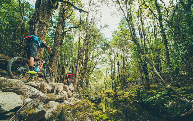 Best easter holidays in australia tasmania mountain biking