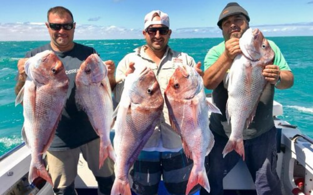 Best easter holidays in australia whyalla fishing charter