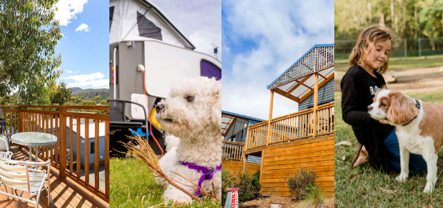 Pet friendly holiday parks in tasmania banner