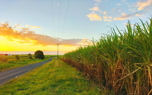 Rediscover queensland road trips pacific coast way bundaberg sugar cane