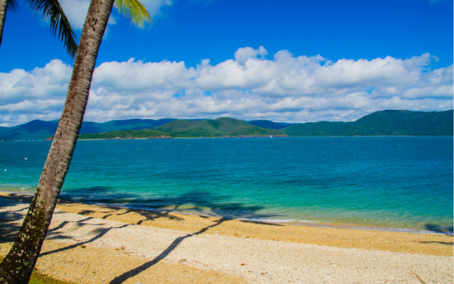 Rediscover queensland road trips pacific coast way daydream island