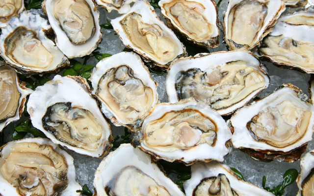 Australias best spring events oysterfest