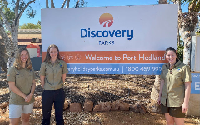 Turtle season in port hedland discovery parks