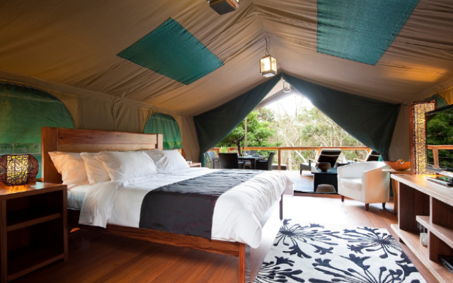 Things to do this summer lane cove glamping