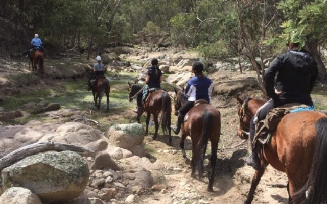 Things to do this summer horse riding tours jindabyne