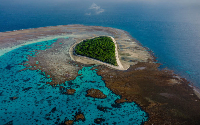 Oz experiences not to miss lady musgrave island