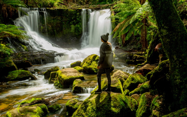 Tasmania travel itinerary road trip tasmanian wilderness