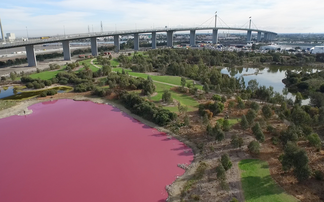 FREE THINGS TO SEE & DO IN MELBOURNE PINK LAKE