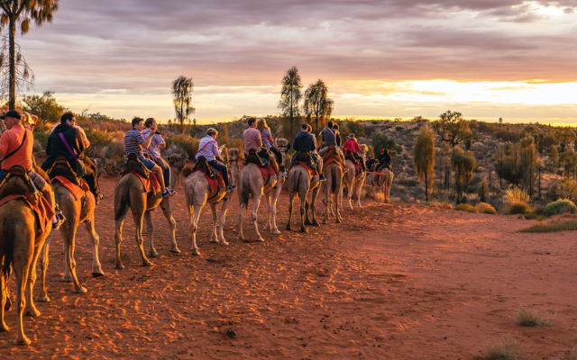 Adelaide to alice springs red centre road trip discovery parks uluru camel tour